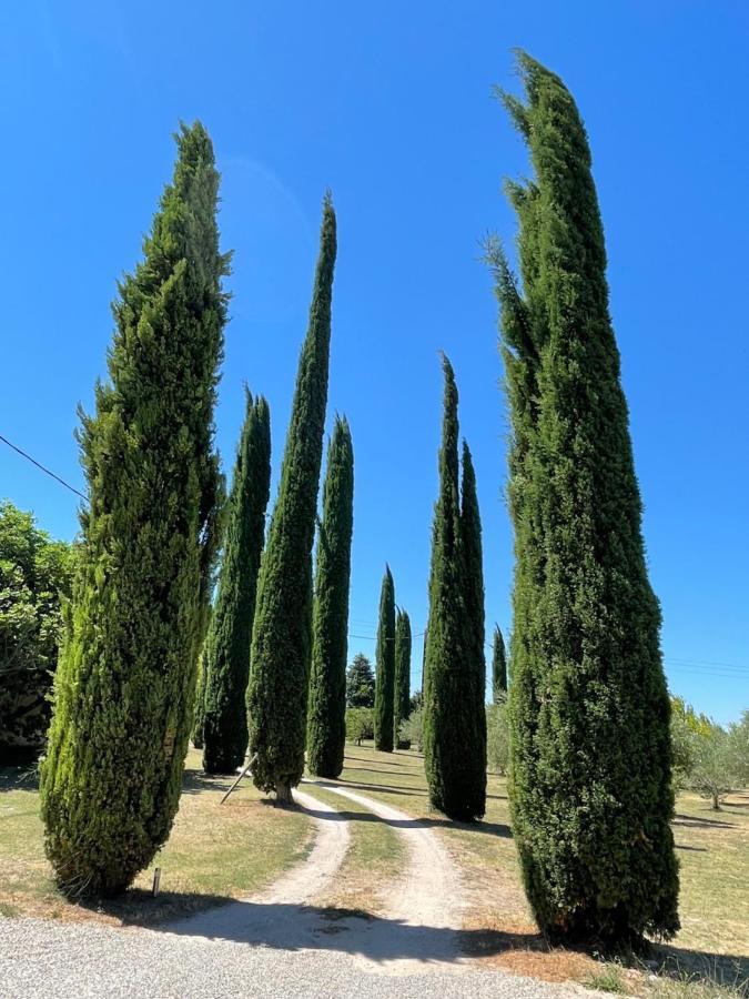 Le Mas Des Perrines Maison D'Hotes Pernes-les-Fontaines Esterno foto