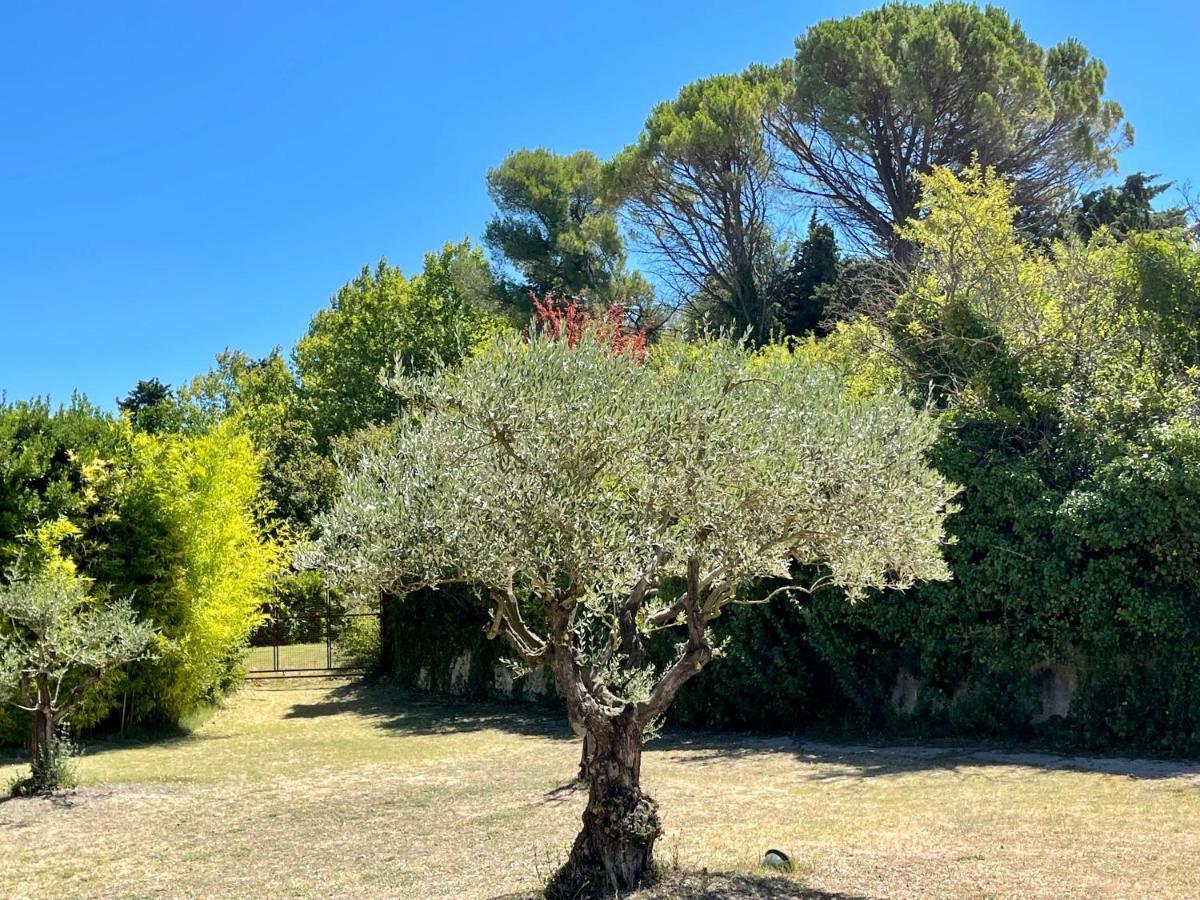 Le Mas Des Perrines Maison D'Hotes Pernes-les-Fontaines Esterno foto