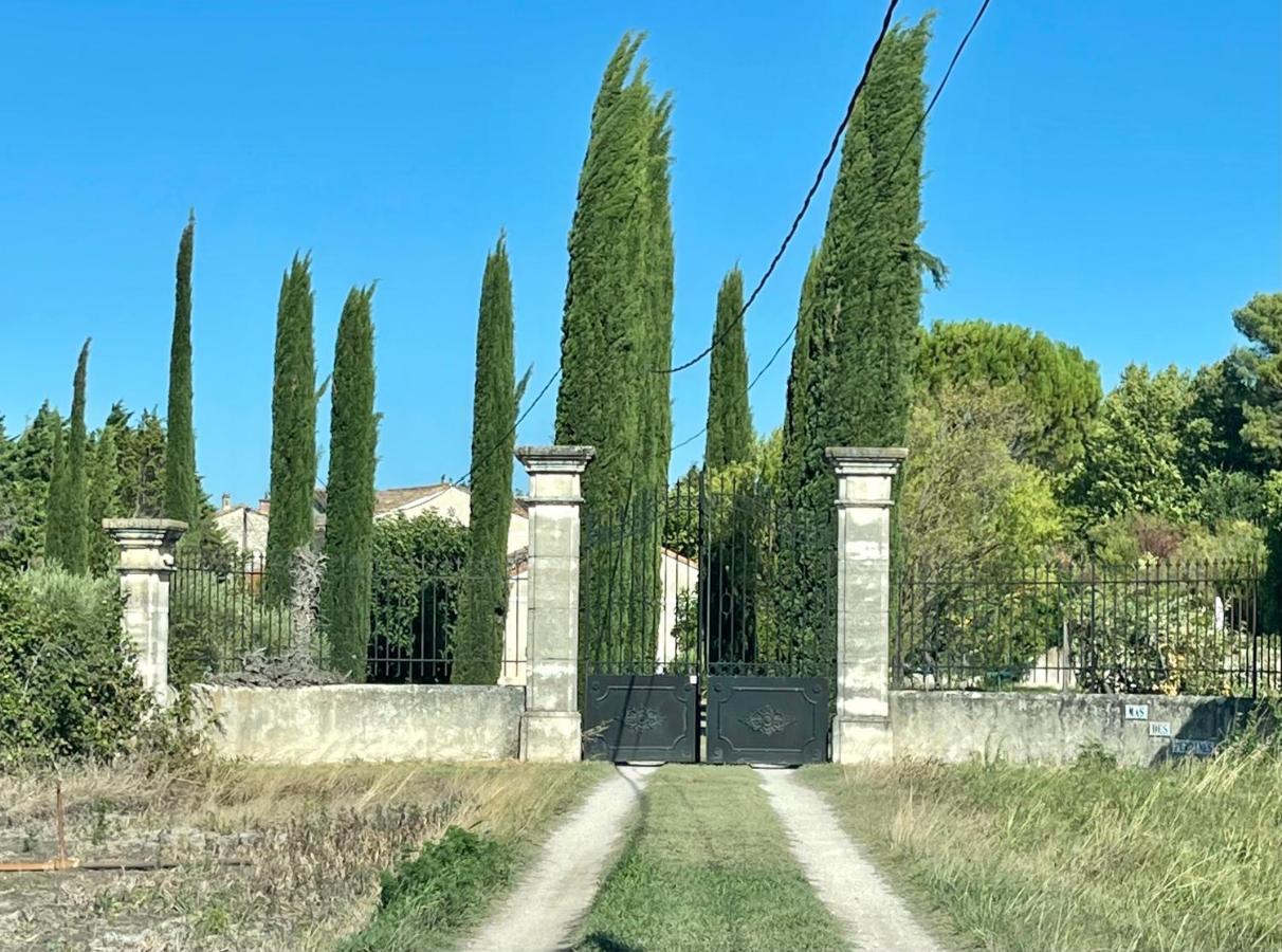 Le Mas Des Perrines Maison D'Hotes Pernes-les-Fontaines Esterno foto