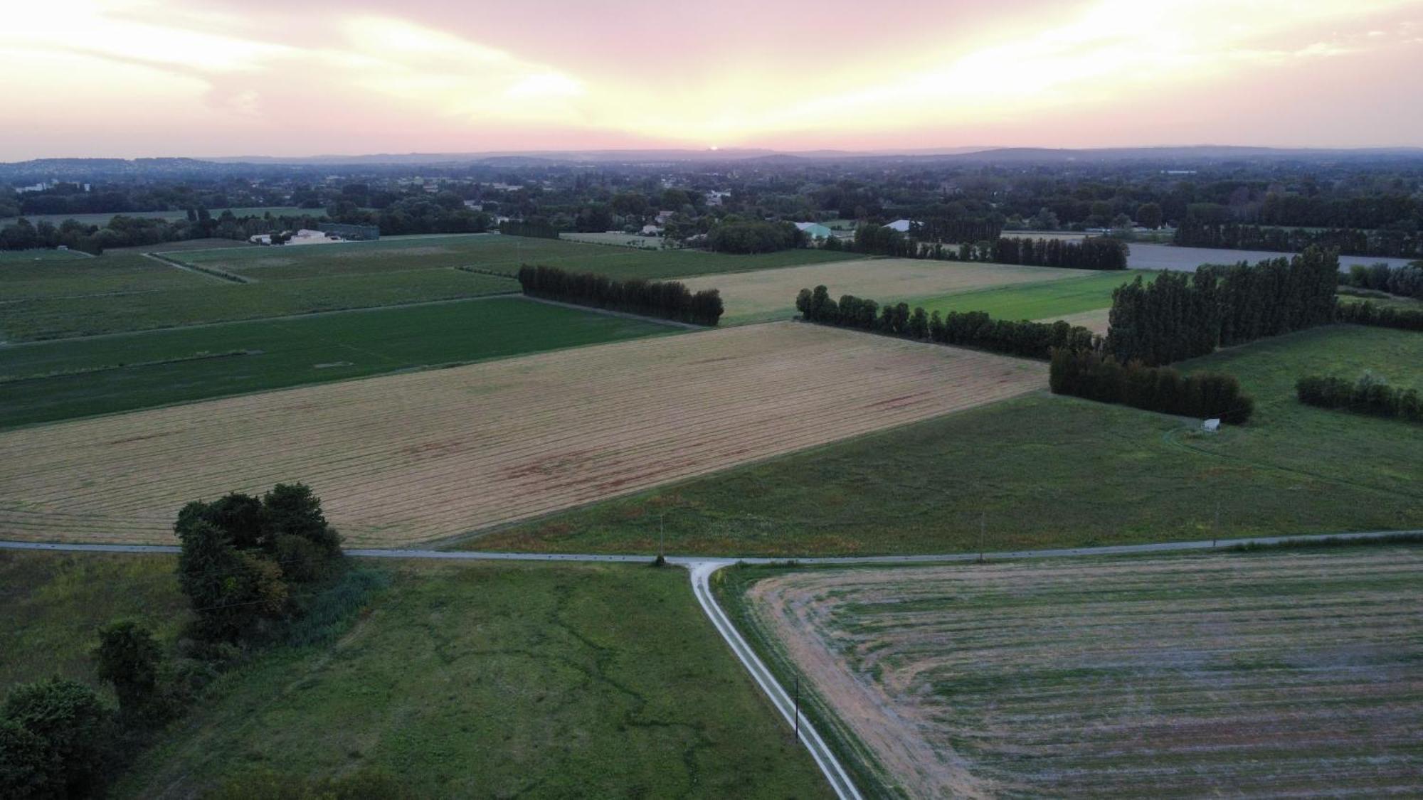 Le Mas Des Perrines Maison D'Hotes Pernes-les-Fontaines Esterno foto
